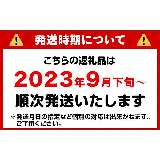 ふるさと納税 岡山県 井原市 令和5年産岡山県産こしひかり10kg（5kg×2袋）