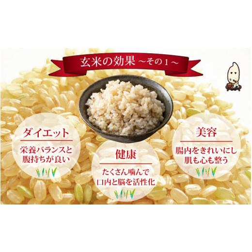 ふるさと納税 福井県 永平寺町  令和5年度産 永平寺町産 コシヒカリ 2kg×12ヶ月（計24kg）  [E-033055]