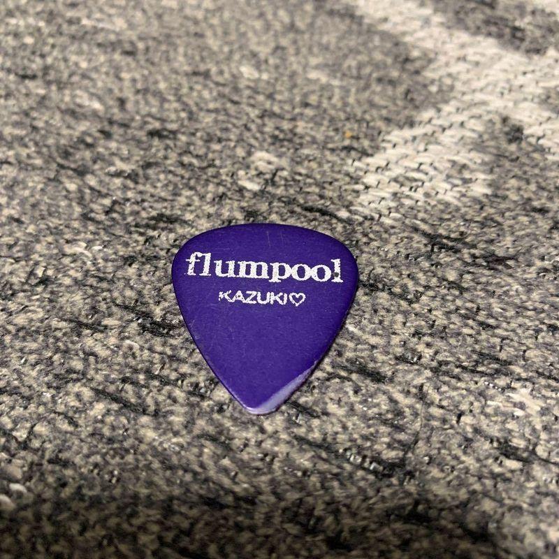 flumpool 阪井一生 使用ピック ライブ