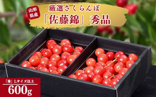 令和6年産 さくらんぼ「 佐藤錦 」600g (300g×2パック) 秀品 Lサイズ以上 2024年産 山形県産 山形産 　020-A-AF001