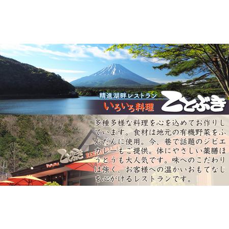 ふるさと納税 シカキーマカレー レトルト 3個セット 山梨県富士河口湖町