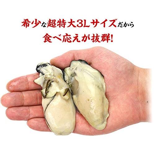 甲羅組カキ ジャンボ 広島カキ 2kg（1kg×2袋） かき 牡蠣 徳用 プレゼント ギフト