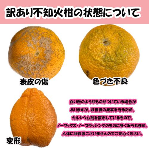 訳あり　不知火柑　約２キロ前後　デコポンと同品種　ご家庭用