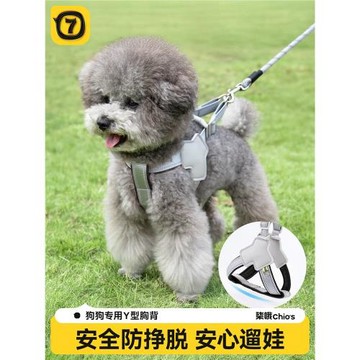 狗狗牽引繩胸背式狗鏈子中小型犬寵物背帶柯基泰迪比熊遛狗牽狗繩