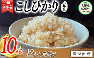 米 こしひかり 玄米 10kg × 12回 令和5年産 沖縄県への配送不可 2023年11月上旬頃から順次発送予定 米澤商店 コシヒカリ 玄米 長野県 飯綱町 [1359]