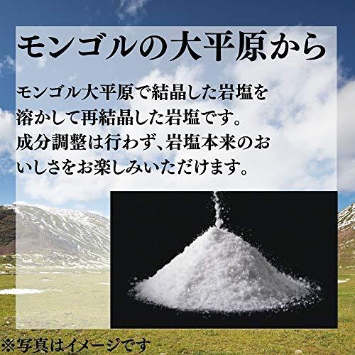 蒙古の塩 天外天塩 業務用 20kg×1袋 岩塩 微粒 精製塩 丹羽久