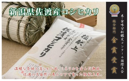 食味鑑定コンクール金賞　新潟県佐渡産コシヒカリ　白米5kg×６