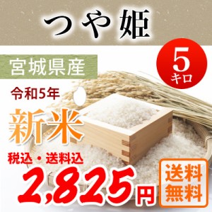 令和5年産 宮城県産つや姫 白米5kg  