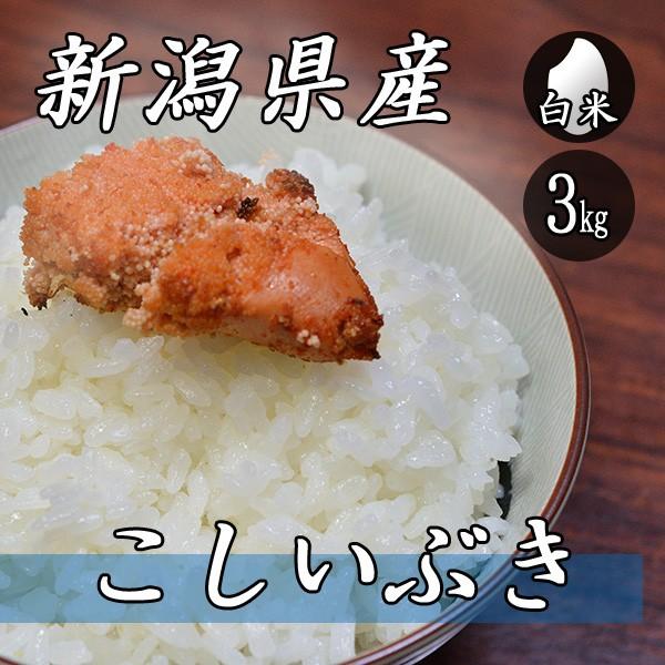 お米 3kg 新潟産 こしいぶき 3kg×1袋 令和5年産 米 白米