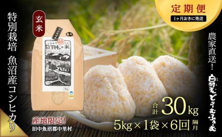 ≪令和5年産≫農家直送！魚沼産コシヒカリ特別栽培「白羽毛の米」玄米(5kg×1袋)×6回  30kg