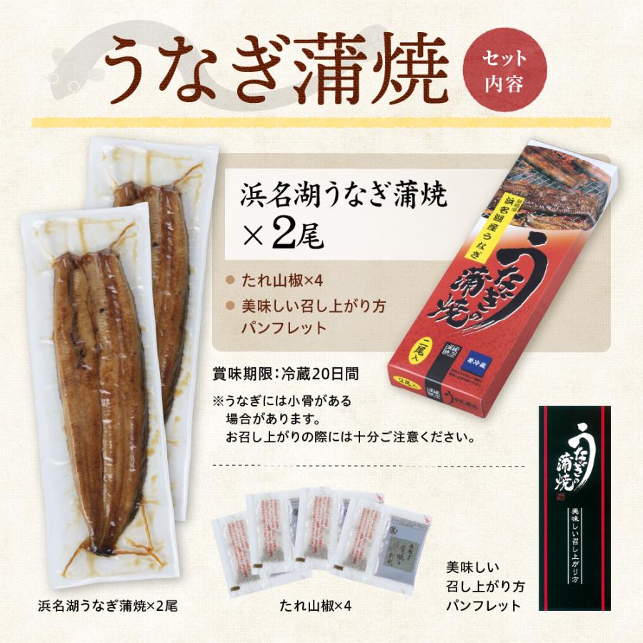 うなぎ 蒲焼 140g×2尾入り 2〜3人分 浜名湖産 送料無料 国産 ギフト お祝い 内祝 浜名湖 土用の丑の日 お取り寄せ グルメ プレゼント 鰻 ウナギ かば焼  贈答