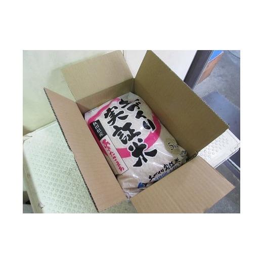 ふるさと納税 秋田県 にかほ市 米 定期便 5kg 6ヶ月 令和5年 あきたこまち 5kg×6回 計30kg 2ヶ月毎 隔月 精米 白米 ※毎年11月より新米