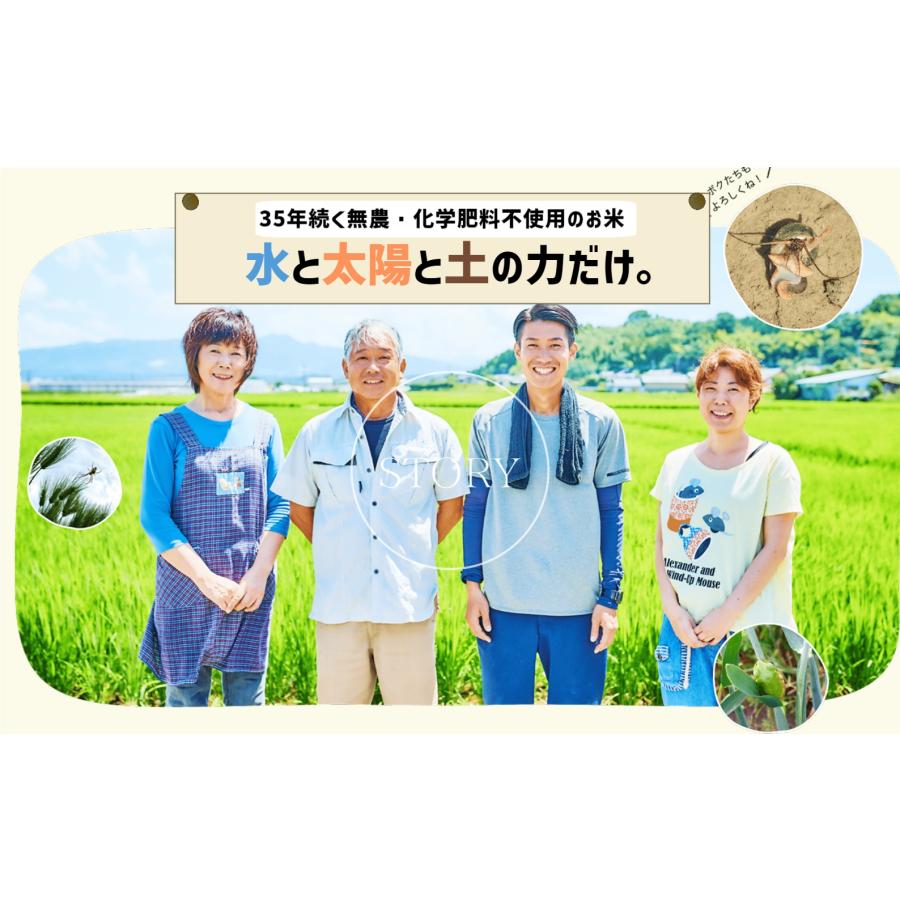 完全無農薬 無化学肥料栽培 原農場のまる麦400g 有機JAS 原さん 国産熊本県産 ぷち麦 プチプチ食感 裸麦 大麦 メール便 無添加 無着色 健康 安全 チャック付き