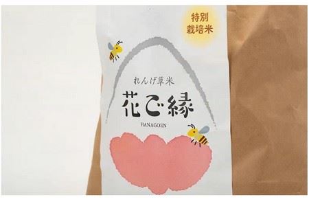 ＜新米・令和5年産＞減農薬特別栽培米 はなご縁 (計10kg・5kg×2袋) 米 ひのひかり ヒノヒカリ 精米 白米 大分県産 大分県 佐伯市