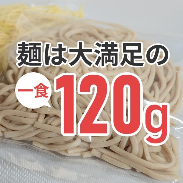 つけ麺5食セット 生麺タイプ お取り寄せ 業務用