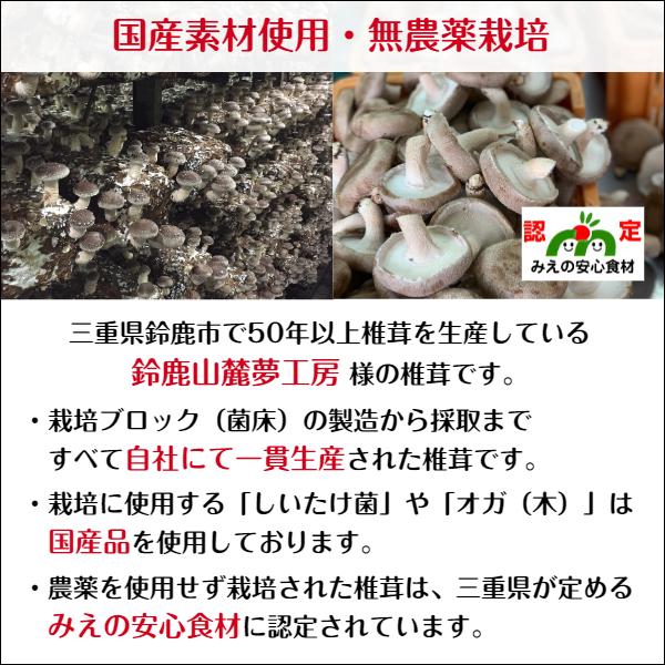 干し椎茸 三重県産 スライス 100g×3袋入 無農薬 チャック付き袋 国産 しいたけ 干しシイタケ 干ししいたけ