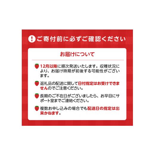 ふるさと納税 福岡県 久留米市 特別栽培 旬のいちご詰め合わせ （ふくおかエコ農産物） 約500g