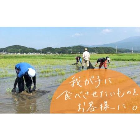 ふるさと納税 米旋風 ヒノヒカリ 玄米 5kg 糸島市   百笑屋[ABF032] 福岡県糸島市