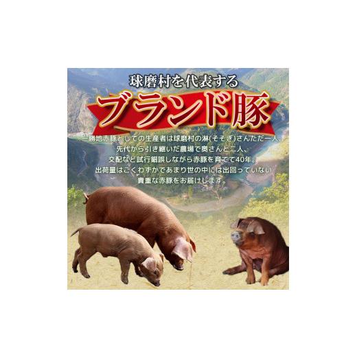 ふるさと納税 熊本県 球磨村 FKP9-137　一勝地赤豚焼肉セット（1kg）