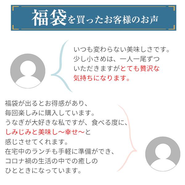 国産うなぎの福袋 うなぎ 鰻 ウナギ 送料無料