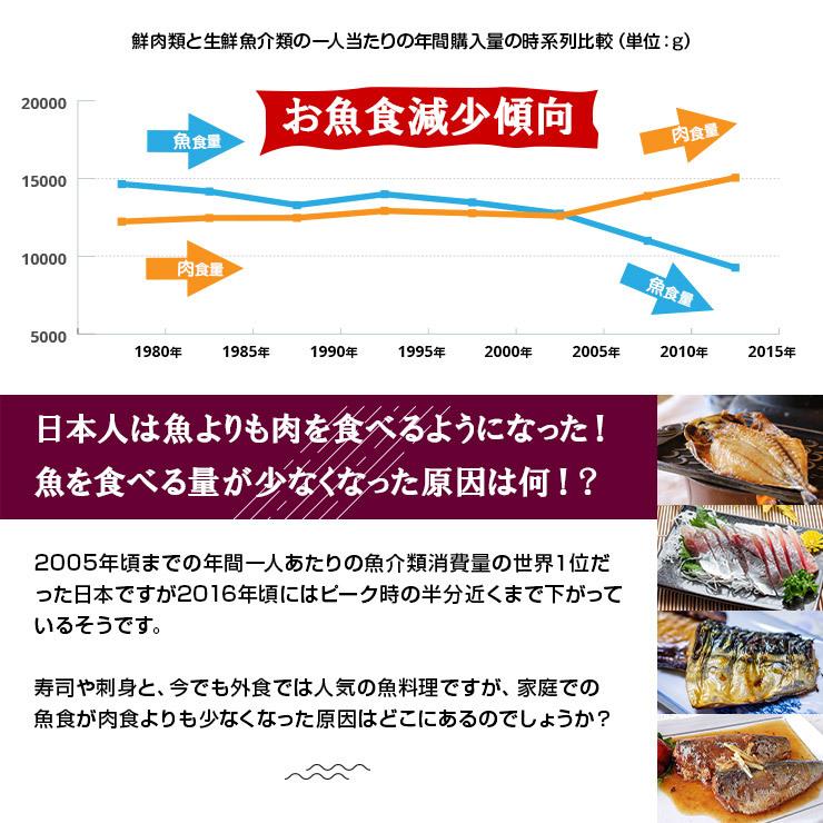 1000円 ポッキリ 骨まで食べられる魚 干物 あじの干物 約90g×2枚 鯵 鰺 アジ ひもの 干物セット 塩焼き 焼き魚 おつまみ おかず 国産 九州