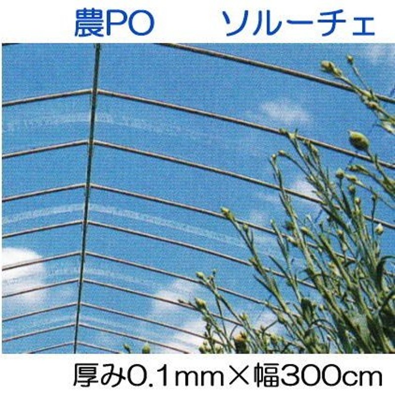 カット販売 農POフィルム ソルーチェ 厚み0.1mm×幅300cm 30m以上長さ指定可 三菱ケミカルアグリドリーム 通販  LINEポイント最大0.5%GET LINEショッピング