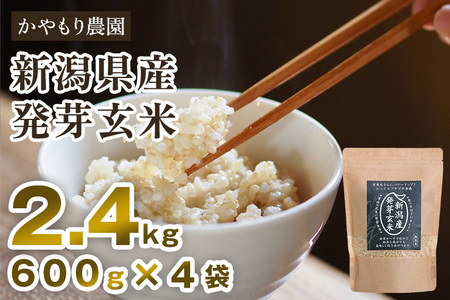 [発芽玄米] 新潟産 発芽玄米2.4kg（600g×4個）新潟米 新潟県産 かやもり農園