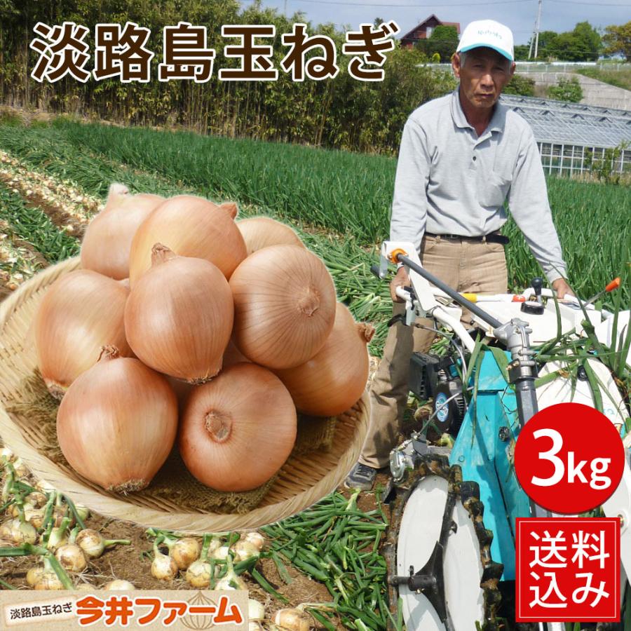 玉ねぎ 3kg 淡路島 今井ファ−ム たまねぎ タマネギ 玉葱 ＃淡路