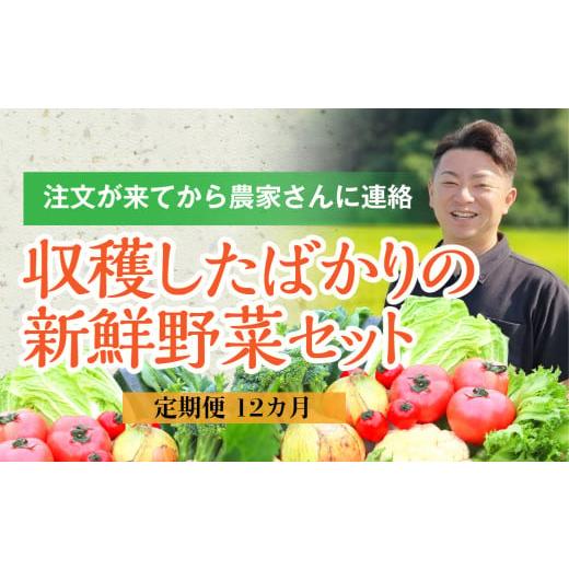 ふるさと納税 岩手県 一関市 注文が来てから収穫発送！収穫したばかりの新鮮野菜セット お試しコース 《7〜8品》季節のお野菜 おまかせ お…