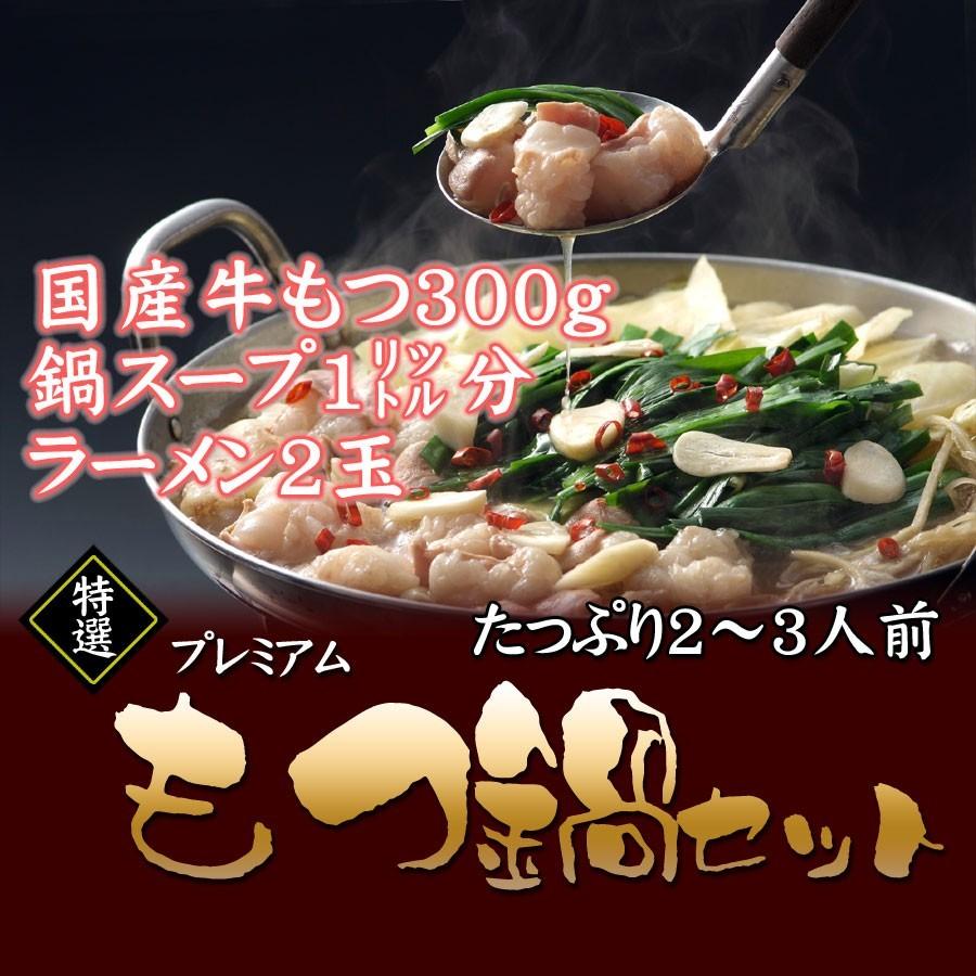 送料無料 国産プレミアム もつ鍋(2〜3人前) 醤油 塩 キムチ味 締めのラーメン付き ホルモン 冷凍 牛肉 お取り寄せグルメ 食材