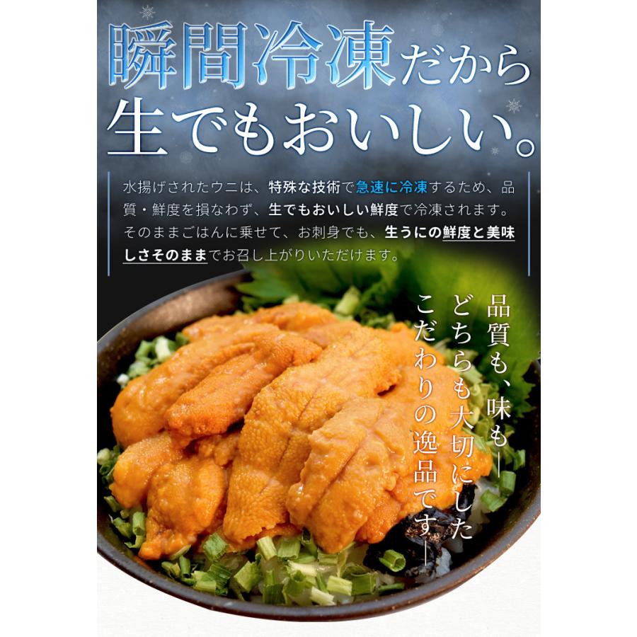 うに １００ｇ×１ 天然冷凍生ウニ 刺身雲丹 ミョウバン不使用 無添加 最高級グレードの雲丹 海鮮丼