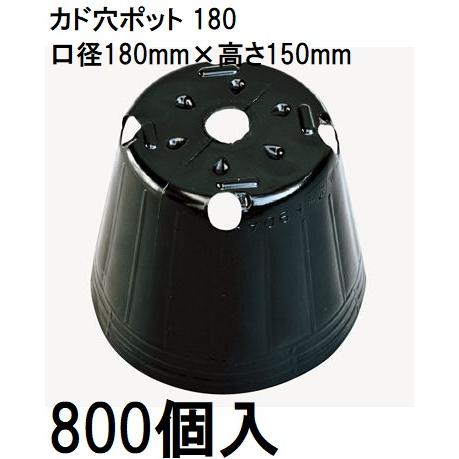 (徳用800個入) ポリポット ポリ鉢 カド穴ポット (加工品) 18cm カド穴黒丸 180 カド穴4 底穴1 容積2850cc 中部農材