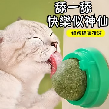 🔥當天出貨🔥 旋轉貓薄荷球 貓薄荷 貓薄荷球 貓草球 貓零食 貓咪零食 貓薄荷玩具 貓草貓玩具 貓咪玩具 貓咪用品