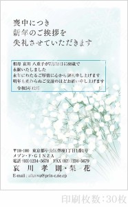 全96柄 2024年度版 喪中はがき印刷 普通郵便はがき「胡蝶蘭」 30枚 特選デザイン 64111_30