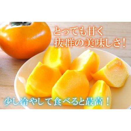 ふるさと納税 越前柿 16〜20玉入 M〜2L 《種なしで食べやすく甘い！》 あわらブランド ／ 期間限定 果物 フルーツ 産地直送 旬 お.. 福井県あわら市