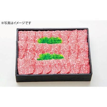 ふるさと納税  特選 壱岐牛 ロース 750g（ 焼肉用 ）《壱岐市》 肉 和牛 牛肉 黒毛和牛 BBQ 焼肉 赤身  [JDL018] 50000 50000円 5万.. 長崎県壱岐市