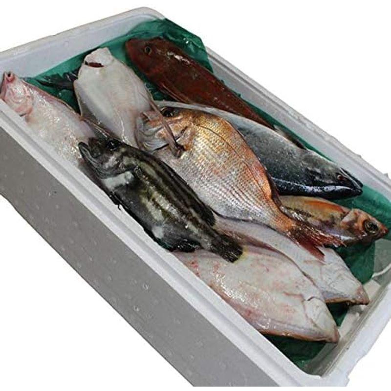 鮮魚セット B 母の日 詰め合わせ 直送 ギフト ギフトセット 山形県庄内産 魚 さかな 食の都庄内