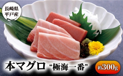 本マグロ 極海一番 約300g 平戸市   囲炉裏料理 エビス亭】 [KAC019]