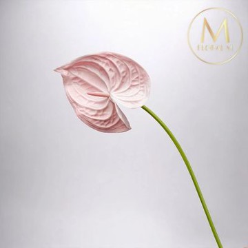 【Floral M】黛安娜心型火鶴少女粉仿真花花材2入組(人造花/仿真花/假花/花藝DIY/裝飾花材)