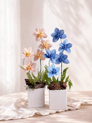 【花訴花藝】索拉蝴蝶蘭桌花/開幕花禮/升遷花禮/祝賀花禮 乾燥花