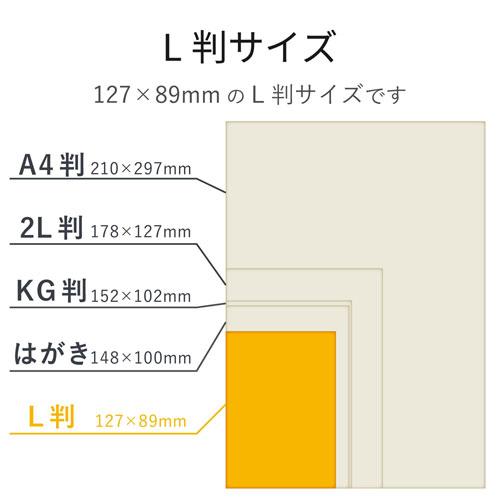 ポスト投函 エレコム ELECOM エプソンプリンタ対応光沢紙 L判 100枚 EJK-EGNL100