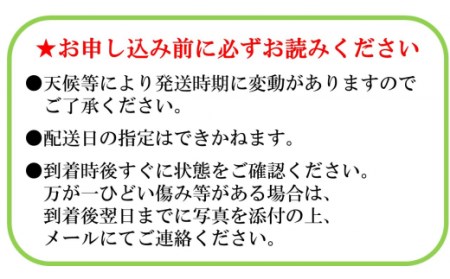 ＜2024年先行予約＞厳選！山梨県笛吹市産 シャインマスカット 約1.5kg(2～3房) 156-006