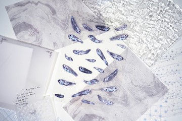 【深海魚毛】水彩插畫 白墨PET貼紙 手帳 搞笑 海洋生物 奇怪