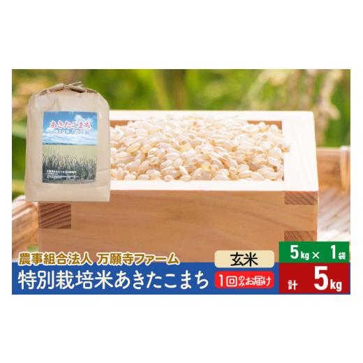 ふるさと納税 秋田県 美郷町 令和5年産 特別栽培米あきたこまち 5kg（5kg×1袋）