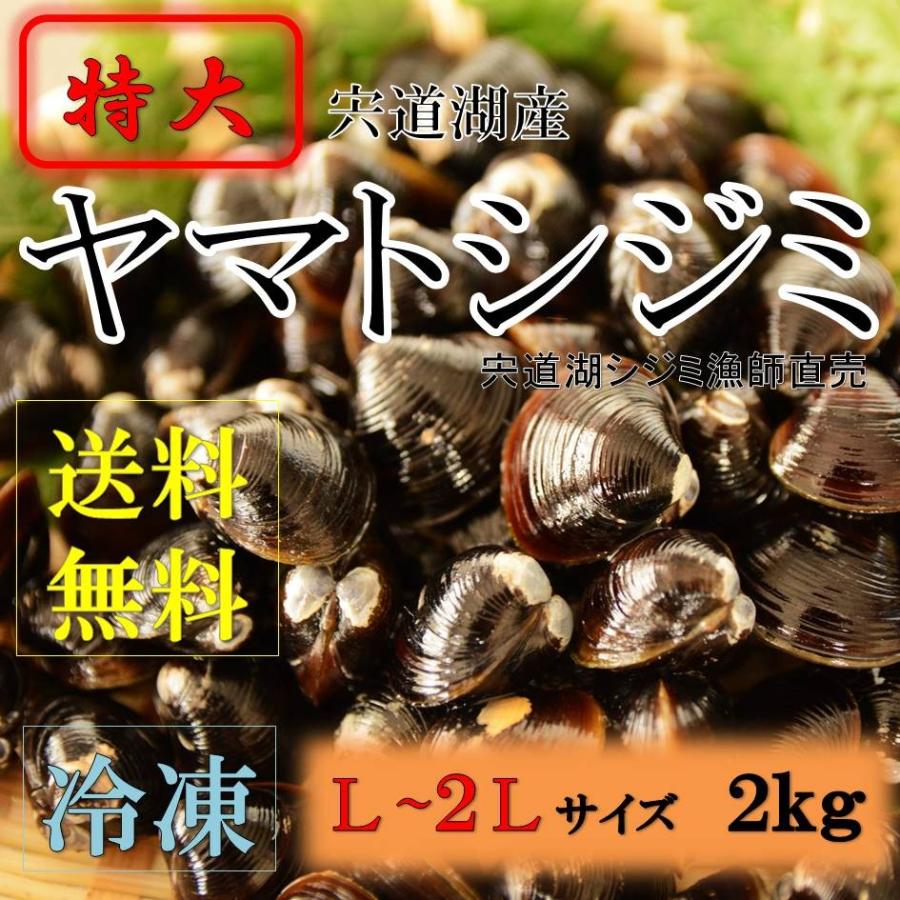 シジミ 宍道湖産 Lサイズ ２ｋｇ 送料無料 冷凍 砂抜き済み