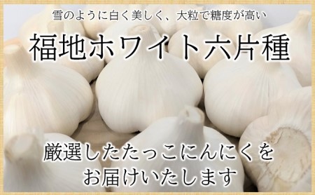 日本一たっこにんにく・6～7玉（青森県田子町産にんにくL～2L）