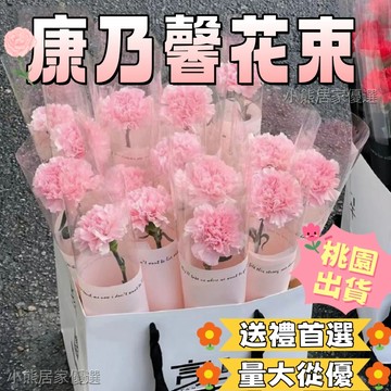 ✅️可開發票💖康乃馨💖畢業花束🌹母親節 玫瑰花 香皂花 單隻花束 母親節康乃馨 玫瑰花束 仿真花 永生花 肥皂花 小花束