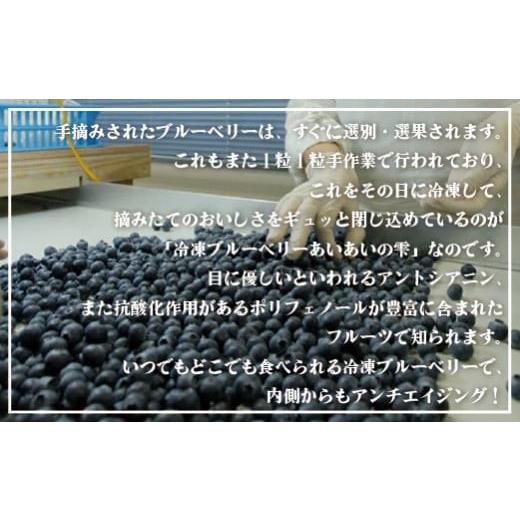 ふるさと納税 長崎県 佐世保市 C152 冷凍ブルーベリー「あいあいの雫」1,200g