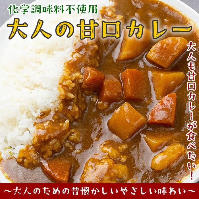 大人の甘口カレー（ビーフカレー） 2人前お試しセット 化学調味料無添加 国産野菜使用