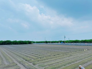 雲林東勢4.7分農地/雙面路/臨25米路｜雲林縣東勢鄉四美段